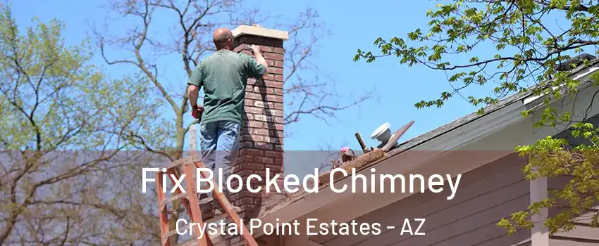 Fix Blocked Chimney Crystal Point Estates - AZ