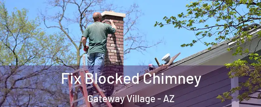 Fix Blocked Chimney Gateway Village - AZ