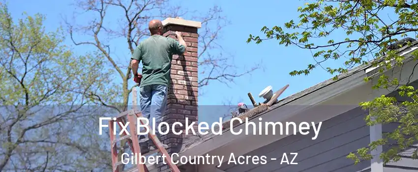 Fix Blocked Chimney Gilbert Country Acres - AZ