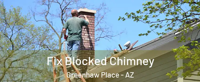 Fix Blocked Chimney Greenhaw Place - AZ