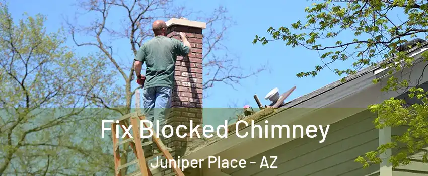 Fix Blocked Chimney Juniper Place - AZ