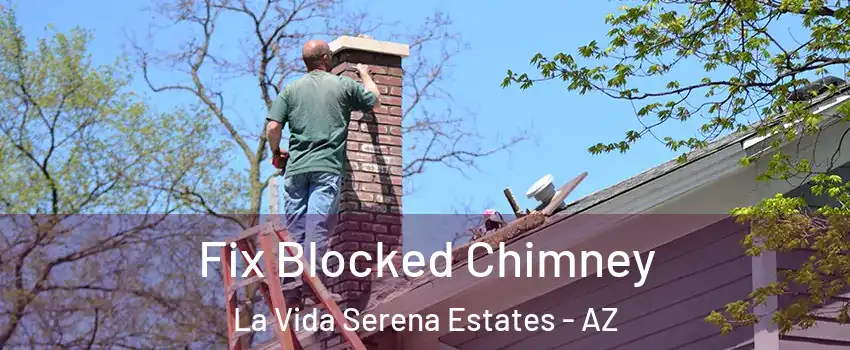 Fix Blocked Chimney La Vida Serena Estates - AZ