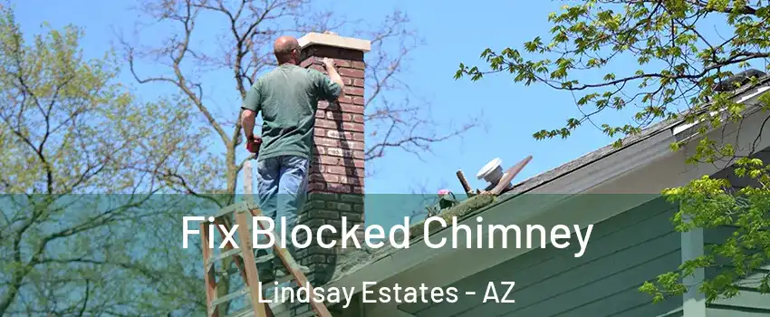 Fix Blocked Chimney Lindsay Estates - AZ