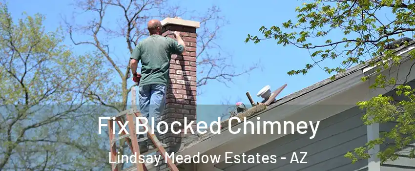 Fix Blocked Chimney Lindsay Meadow Estates - AZ
