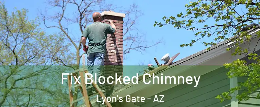 Fix Blocked Chimney Lyon's Gate - AZ