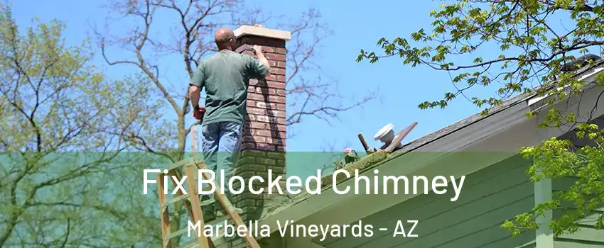 Fix Blocked Chimney Marbella Vineyards - AZ