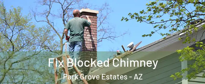 Fix Blocked Chimney Park Grove Estates - AZ
