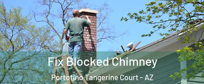 Fix Blocked Chimney Portofino Tangerine Court - AZ