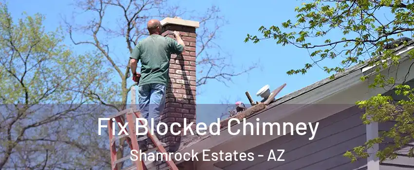 Fix Blocked Chimney Shamrock Estates - AZ