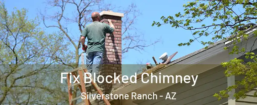 Fix Blocked Chimney Silverstone Ranch - AZ