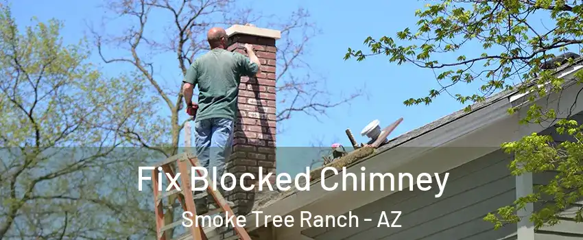 Fix Blocked Chimney Smoke Tree Ranch - AZ