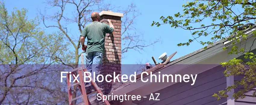 Fix Blocked Chimney Springtree - AZ