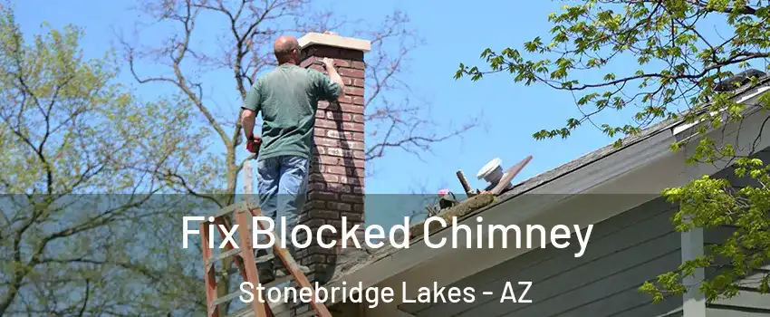 Fix Blocked Chimney Stonebridge Lakes - AZ