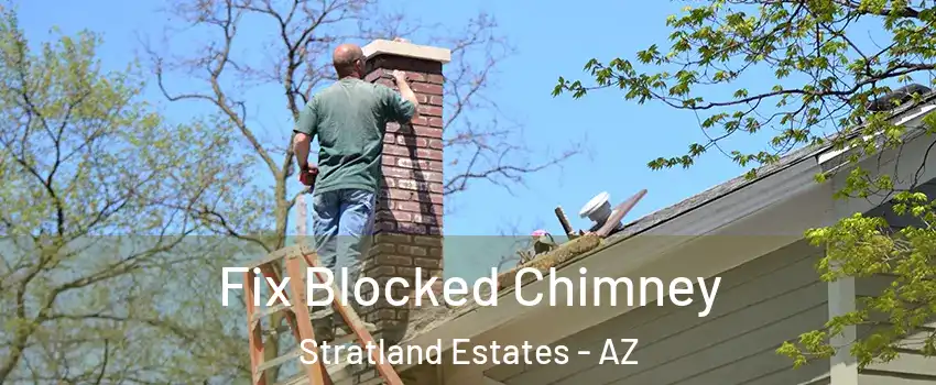 Fix Blocked Chimney Stratland Estates - AZ
