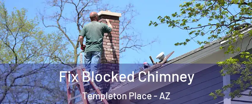 Fix Blocked Chimney Templeton Place - AZ