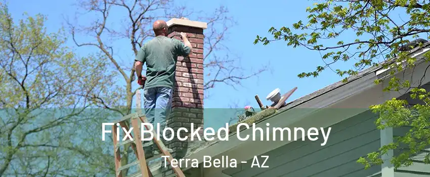 Fix Blocked Chimney Terra Bella - AZ
