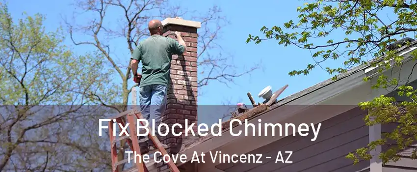 Fix Blocked Chimney The Cove At Vincenz - AZ