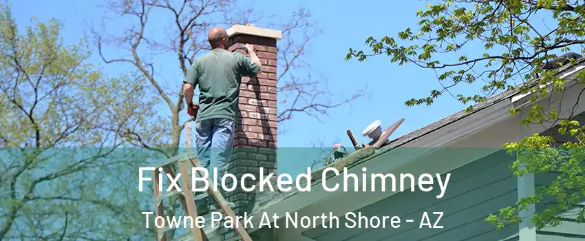 Fix Blocked Chimney Towne Park At North Shore - AZ