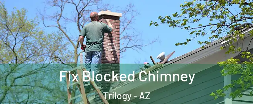 Fix Blocked Chimney Trilogy - AZ