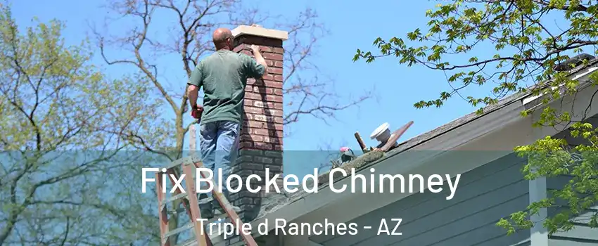 Fix Blocked Chimney Triple d Ranches - AZ