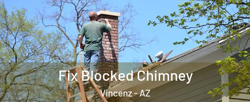 Fix Blocked Chimney Vincenz - AZ