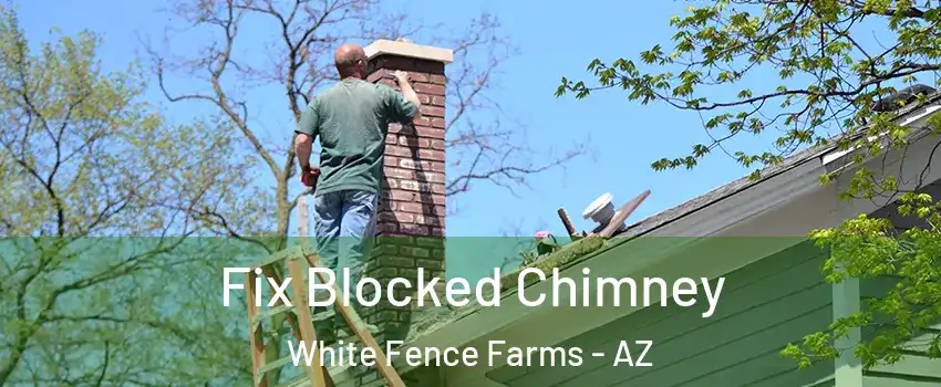 Fix Blocked Chimney White Fence Farms - AZ