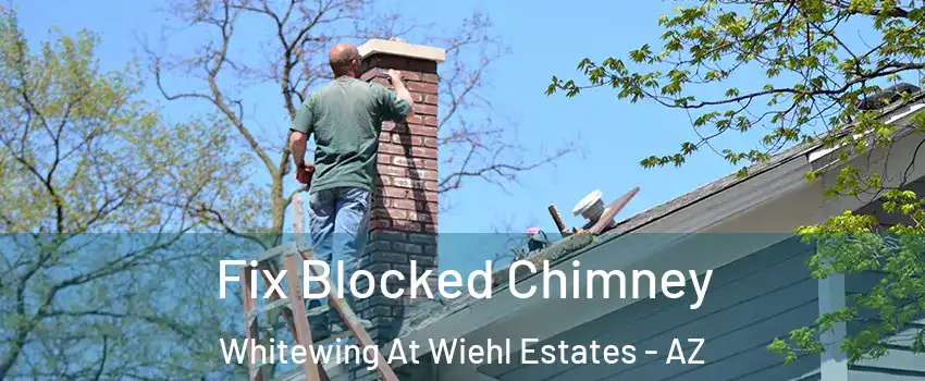 Fix Blocked Chimney Whitewing At Wiehl Estates - AZ