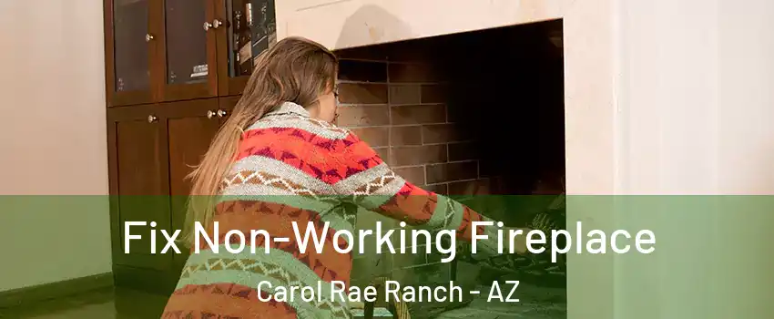 Fix Non-Working Fireplace Carol Rae Ranch - AZ