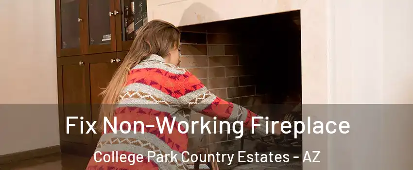 Fix Non-Working Fireplace College Park Country Estates - AZ