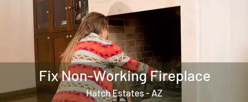 Fix Non-Working Fireplace Hatch Estates - AZ