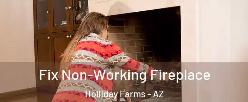Fix Non-Working Fireplace Holliday Farms - AZ