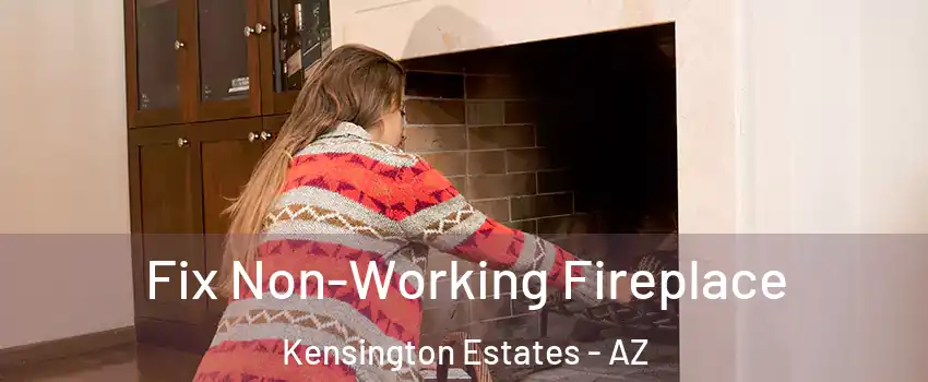 Fix Non-Working Fireplace Kensington Estates - AZ