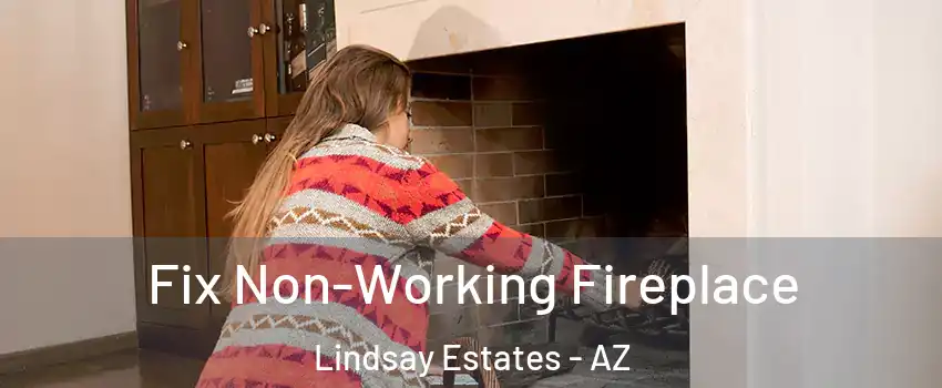 Fix Non-Working Fireplace Lindsay Estates - AZ