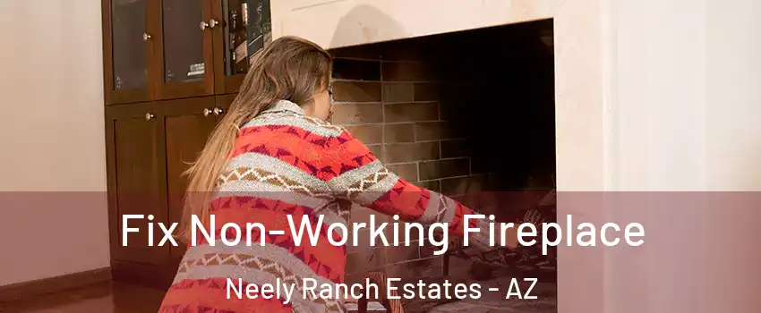 Fix Non-Working Fireplace Neely Ranch Estates - AZ