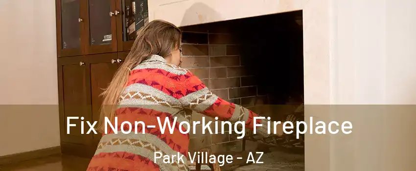 Fix Non-Working Fireplace Park Village - AZ