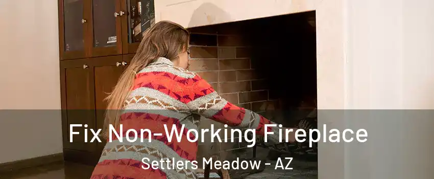 Fix Non-Working Fireplace Settlers Meadow - AZ