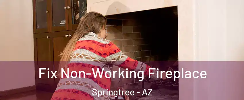 Fix Non-Working Fireplace Springtree - AZ