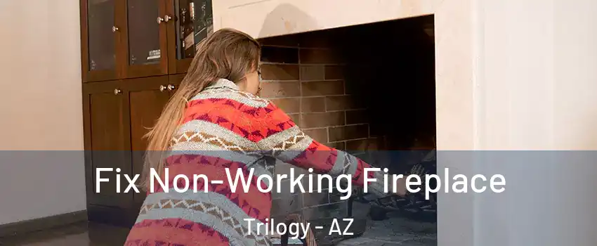 Fix Non-Working Fireplace Trilogy - AZ