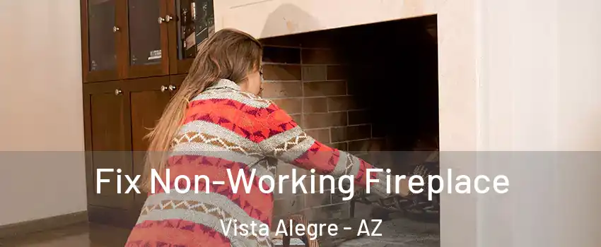Fix Non-Working Fireplace Vista Alegre - AZ