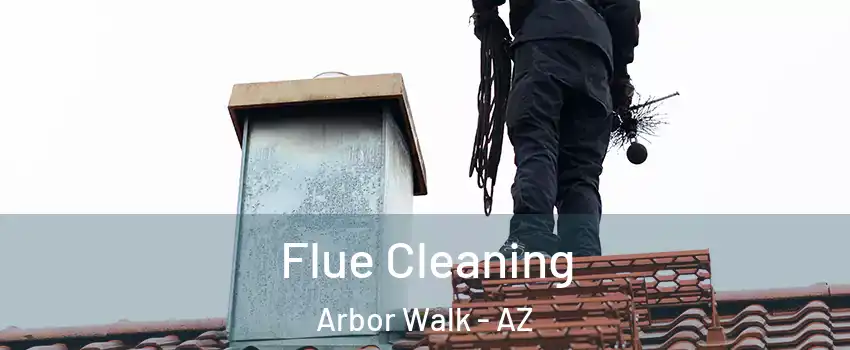 Flue Cleaning Arbor Walk - AZ
