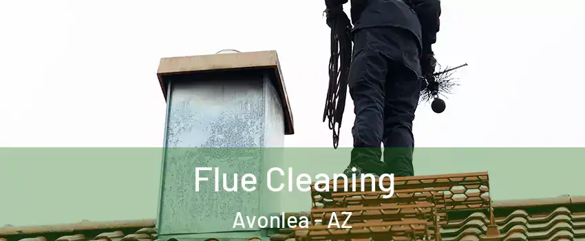 Flue Cleaning Avonlea - AZ