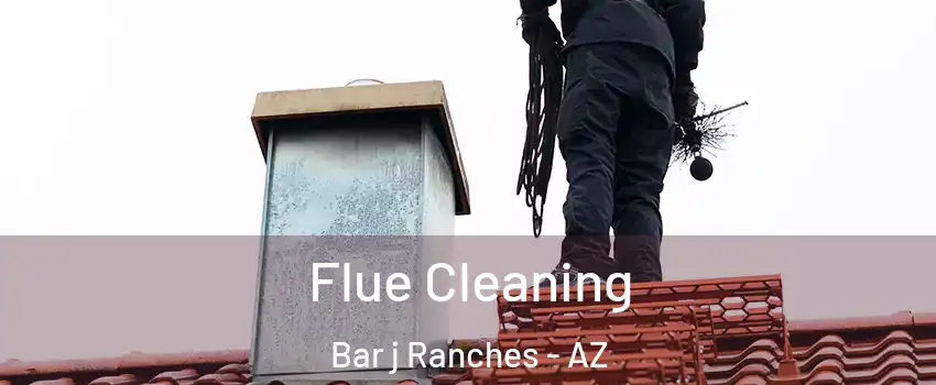 Flue Cleaning Bar j Ranches - AZ