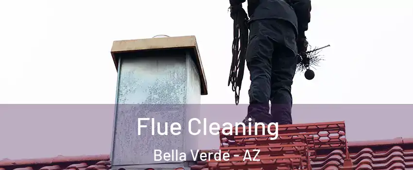 Flue Cleaning Bella Verde - AZ