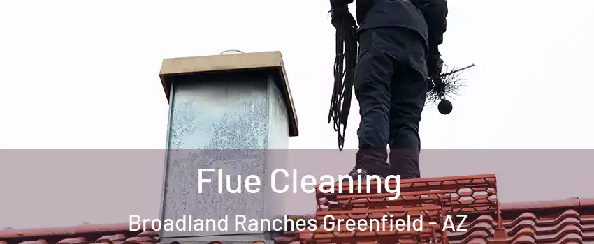Flue Cleaning Broadland Ranches Greenfield - AZ