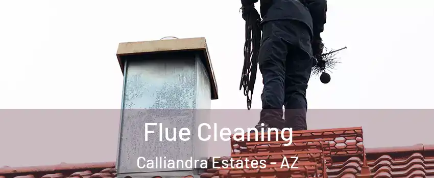 Flue Cleaning Calliandra Estates - AZ