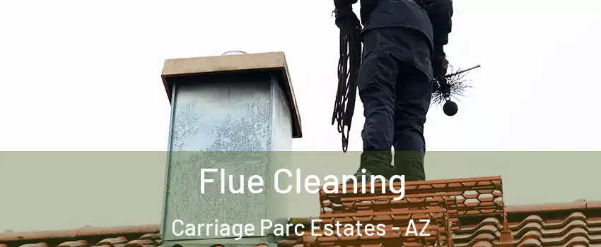 Flue Cleaning Carriage Parc Estates - AZ