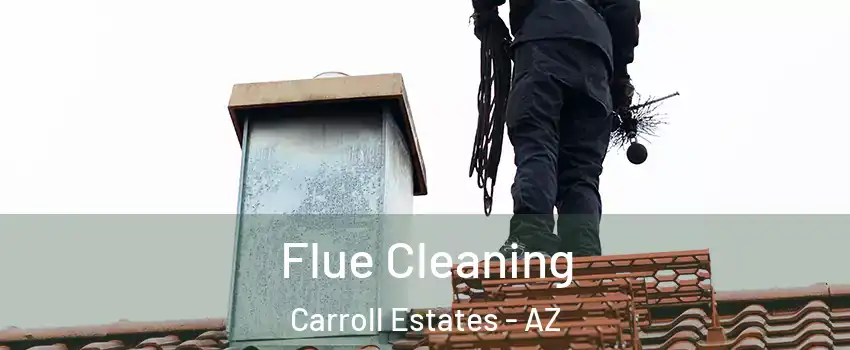 Flue Cleaning Carroll Estates - AZ