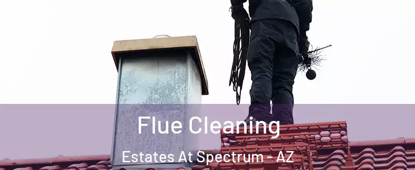 Flue Cleaning Estates At Spectrum - AZ