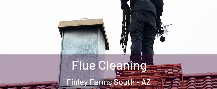Flue Cleaning Finley Farms South - AZ