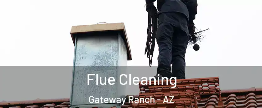 Flue Cleaning Gateway Ranch - AZ